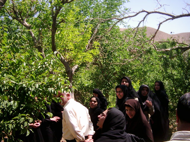 بازدید دانشجویان مرکز تربیت معلم فردوس از روستای قدیم خانیک -6خرداد1387