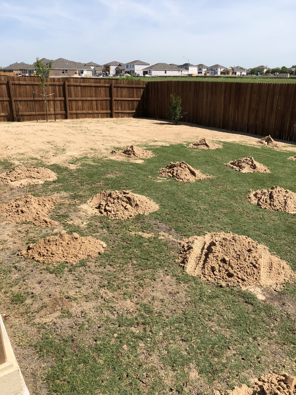 1D94802A-E5DA-4AA0-926E-0CEB3FD02584