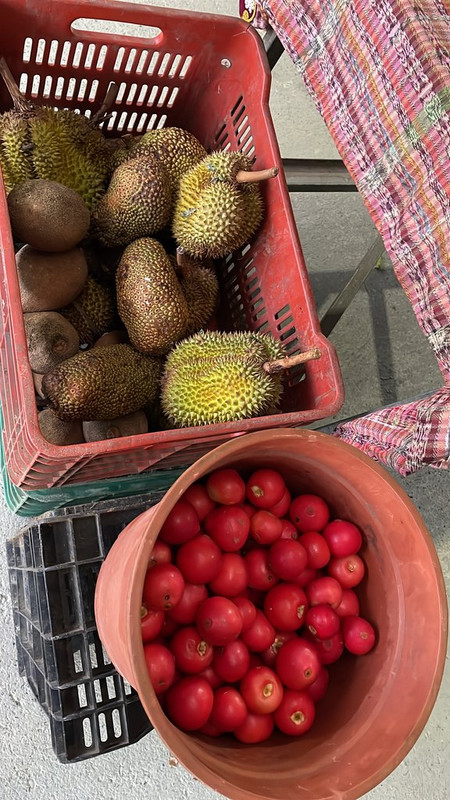 2A506F3B-DCE8-4538-8FA9-A810F3AB3A36