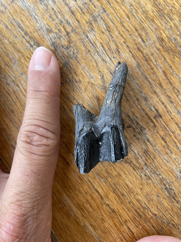 1F1F3691-5639-466C-9196-589D7BF8DFF2