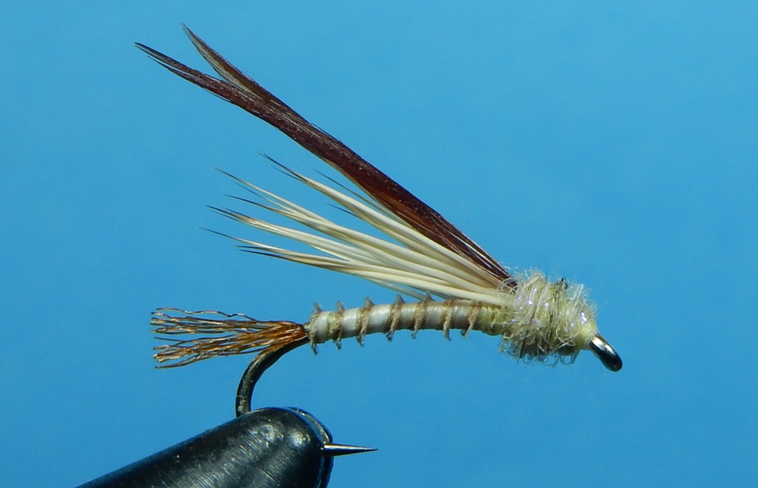 Hot-Creek-Caddis-1080.jpg