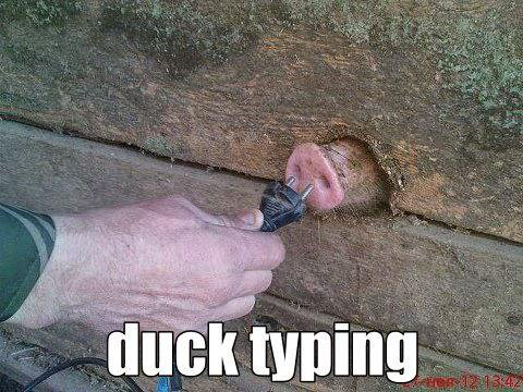 duck.png