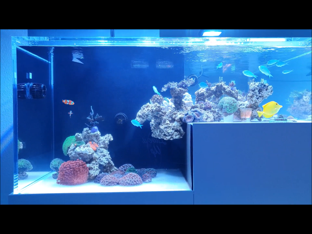 0B06D889-0A44-4A66-BDA4-C4D9F6E629B0