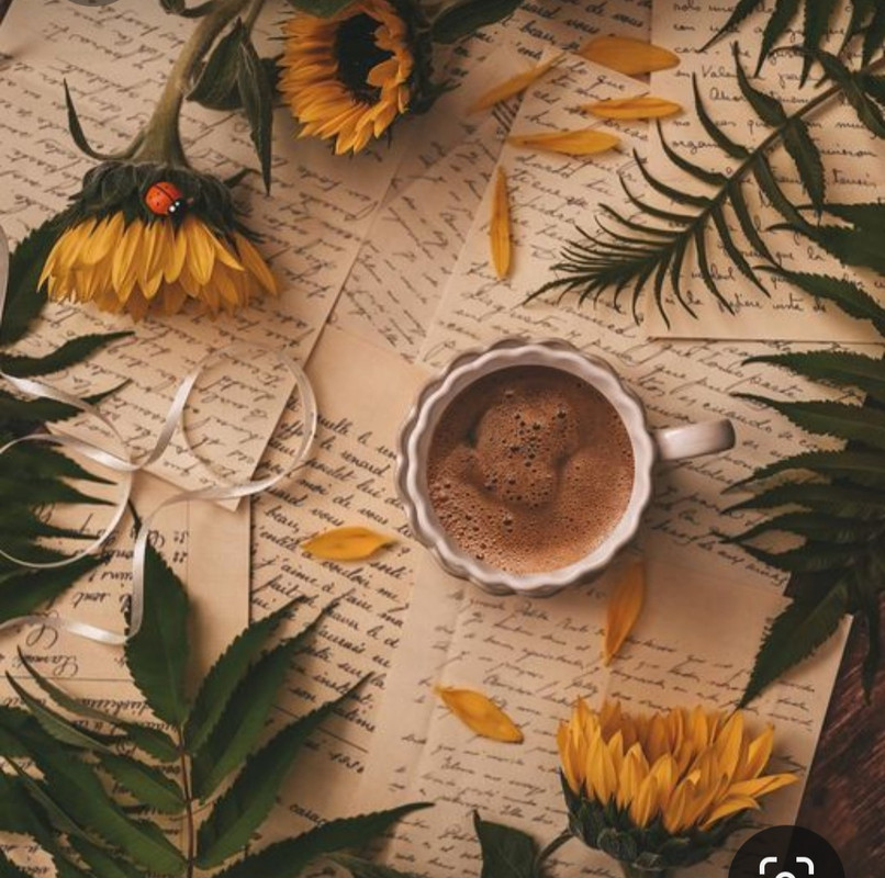 Screenshot_20231015_214404_Pinterest