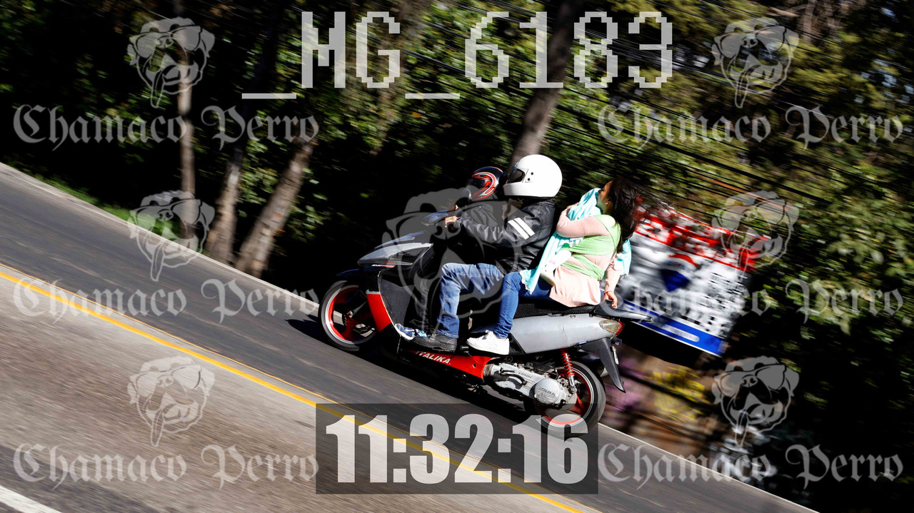MUESTRA MG 6183 — Postimages