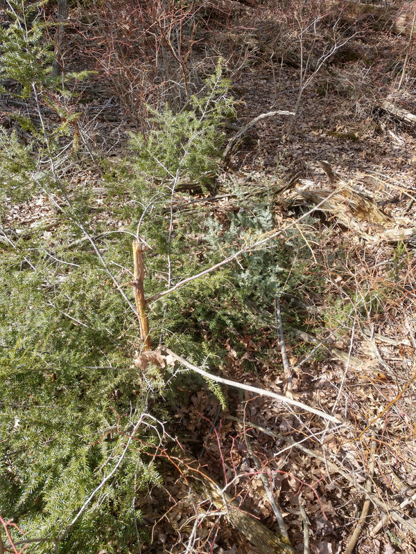 IMG_20190319_155109092_HDR