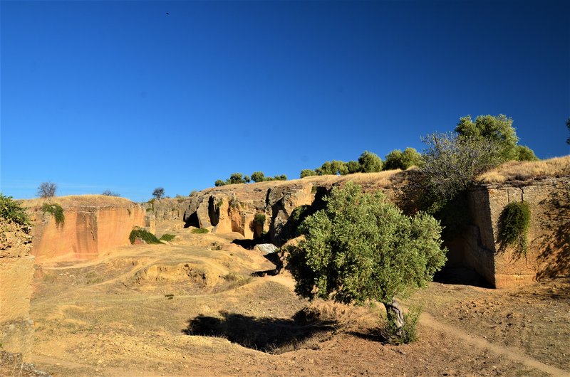 EL COTO LAS CANTERAS-15-10-2021-OSUNA - SEVILLA Y SUS PUEBLOS-2012/2021 (22)