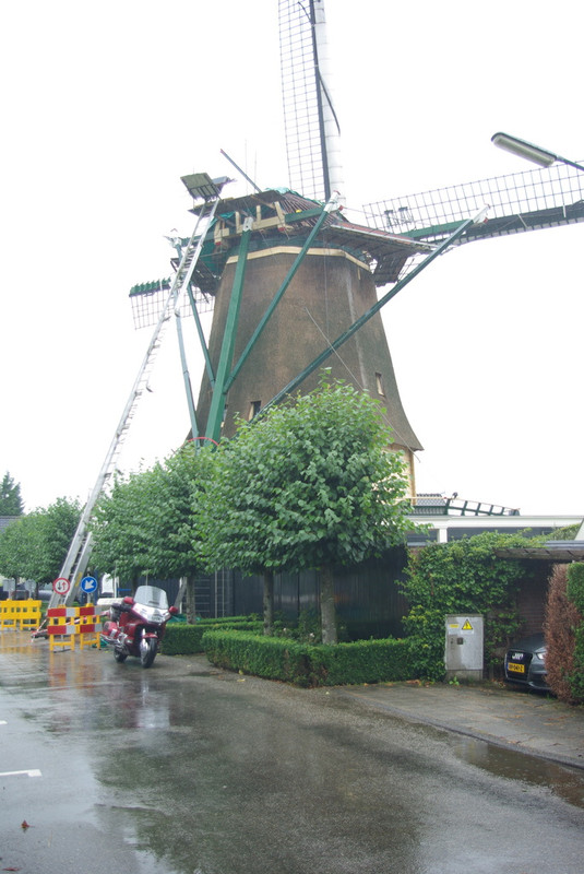 (01053) De Ruiter - Vreeland 2