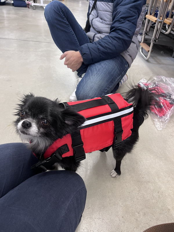 [Image: IMG-8856.jpg]