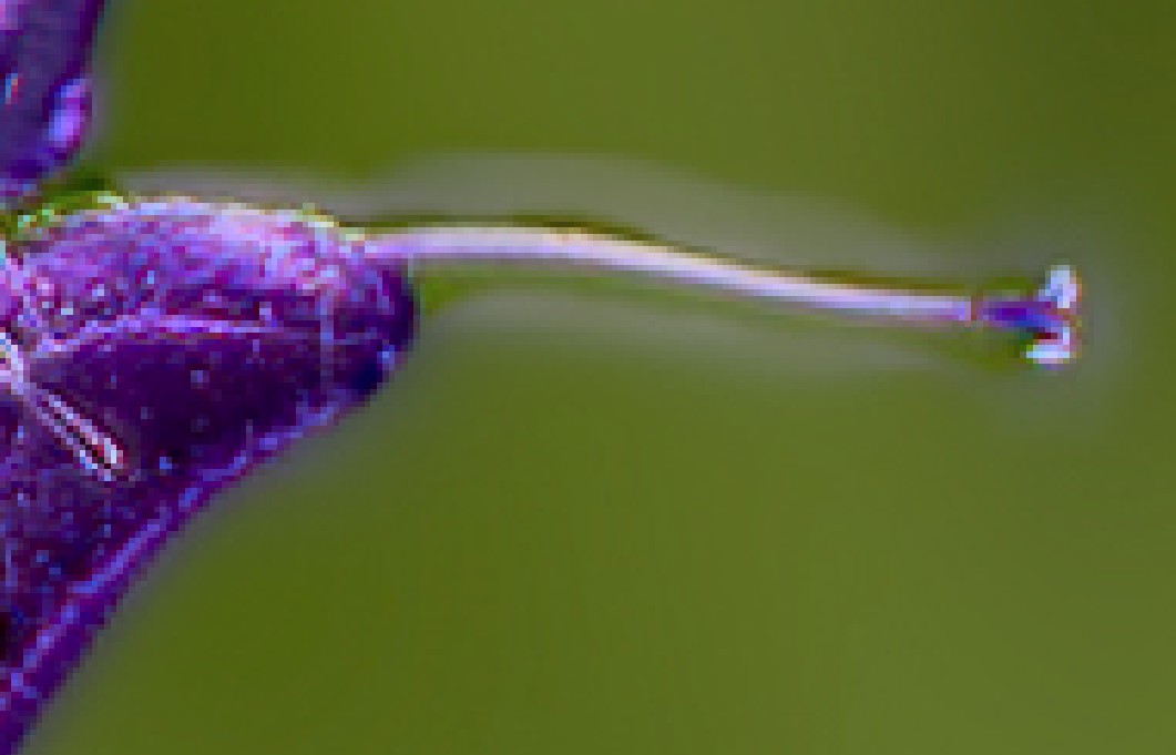i.postimg.cc/kM6bqR9W/blur.jpg