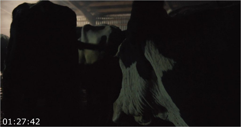 Cow-2021-2160p-WEBRip-3500-MB-DDP5-1-x264-Galaxy-RGTGx.jpg