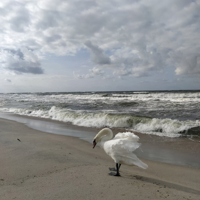 IMG_20231123_131418_065