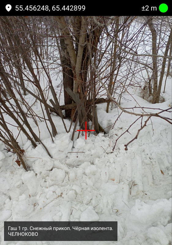 photo 18 2026 03 17 12 10 50