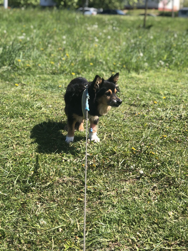 C1596ABB-1895-432D-984B-74F35C652EAC