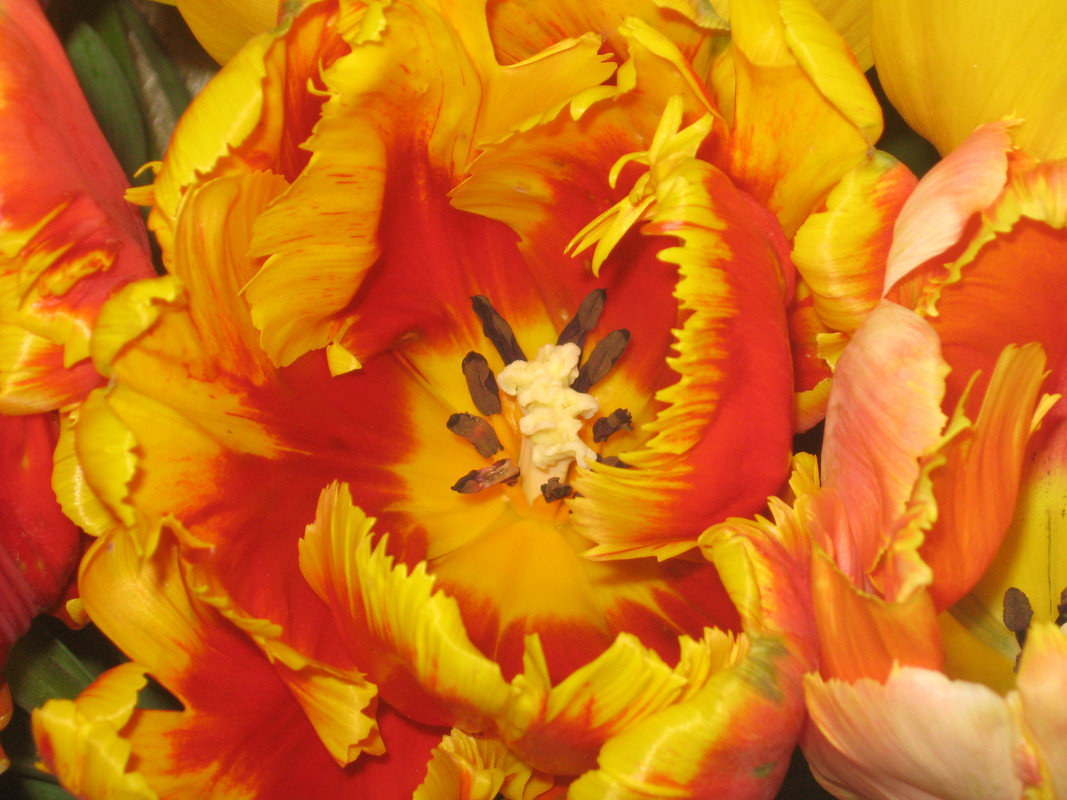 Изображение 230