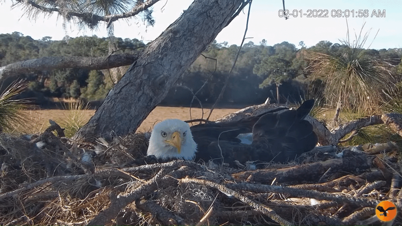 Webp.net-gifmaker (2)