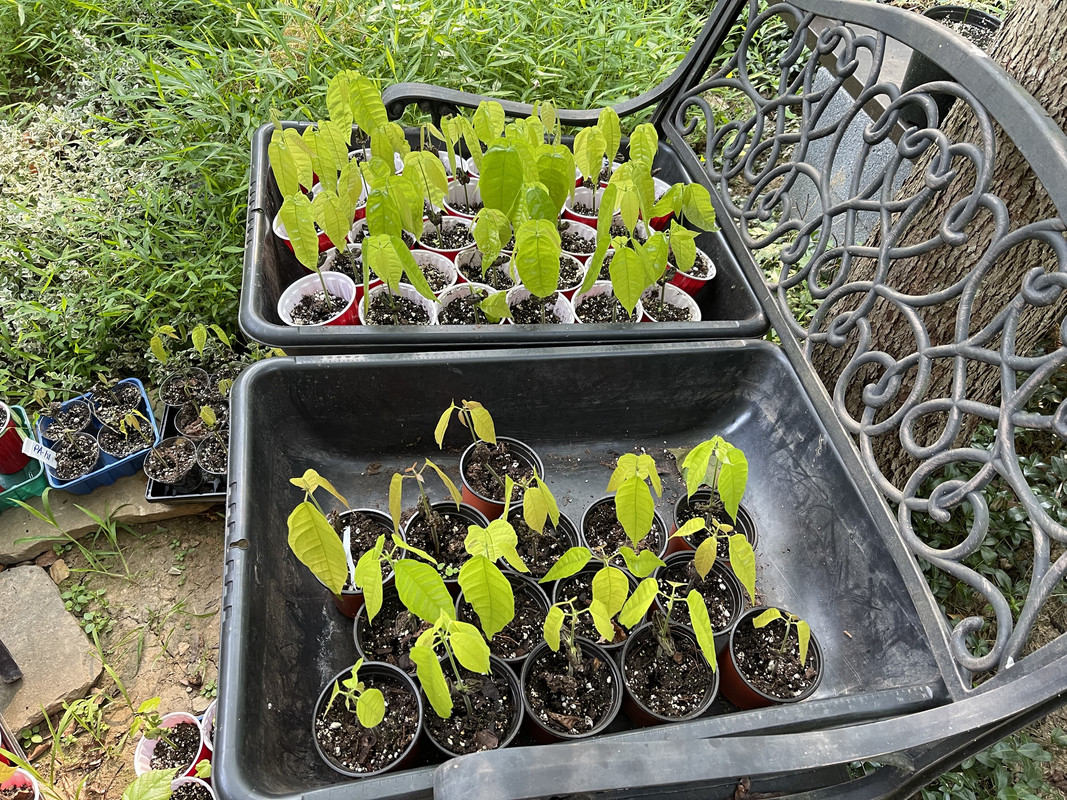 62AB22D5-70FC-4776-AC1B-FB650EFCD0B2