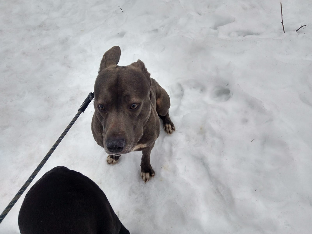 WhatsApp Image 2024-03-26 at 17.02.20 (1)