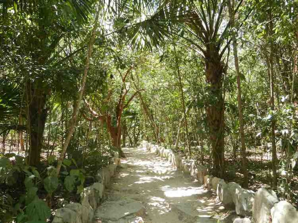 Cenote Azul, excursión en Riviera Maya - Foro Riviera Maya y Caribe Mexicano