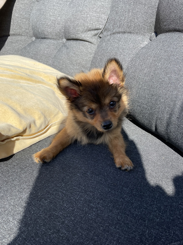 51A880CB-DB5E-4284-B607-78C137B061DB