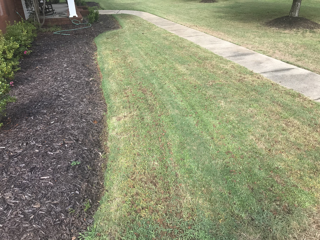 FE01B29D-4D11-4D87-9C62-81D03CB37FD9