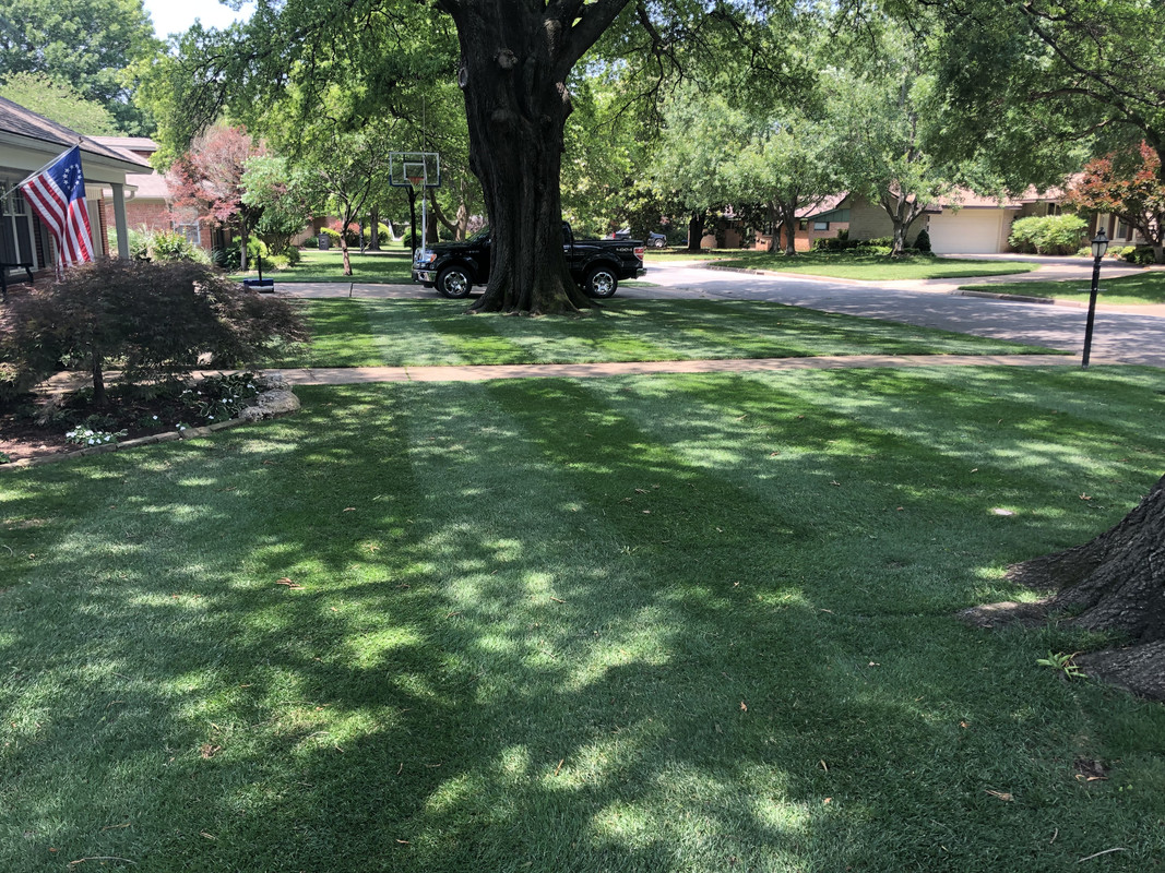 516559CC-995F-46DC-9DDF-F118D0BC3302