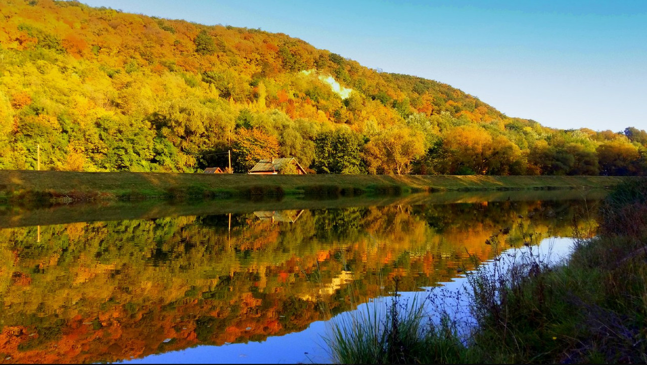 gold-river-homad.jpg