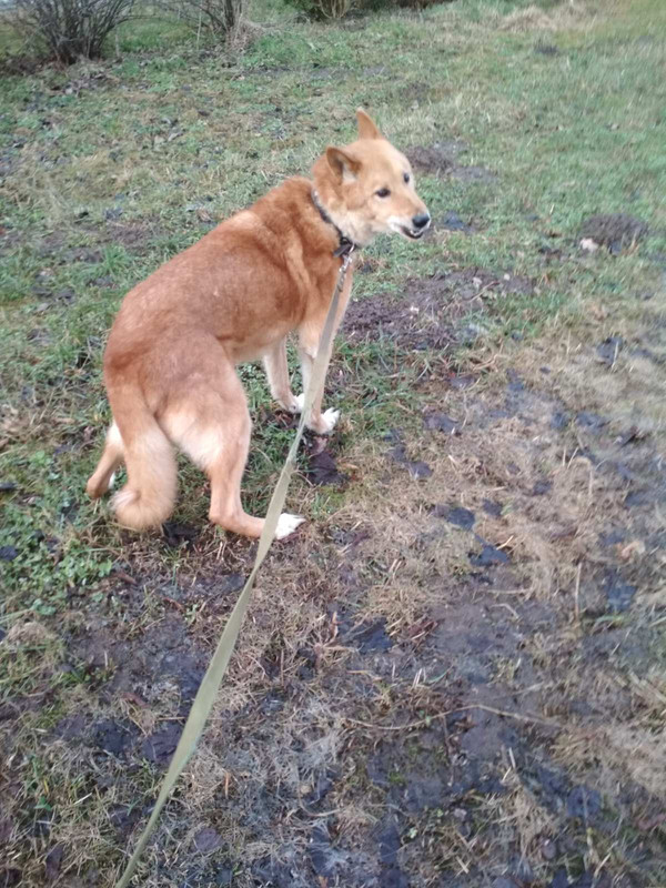 изображение_viber_2020-02-14_17-28-26