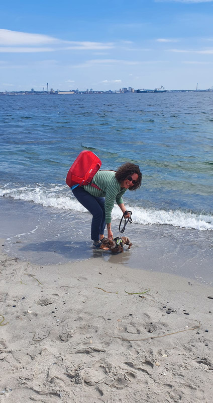 [Image: IMG-20220724-WA0014.jpg]