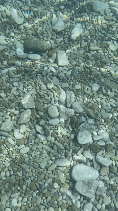 min.gif