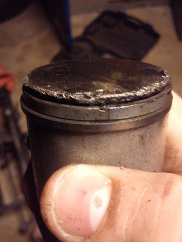 12064147_1473136046329134_1494116439_n