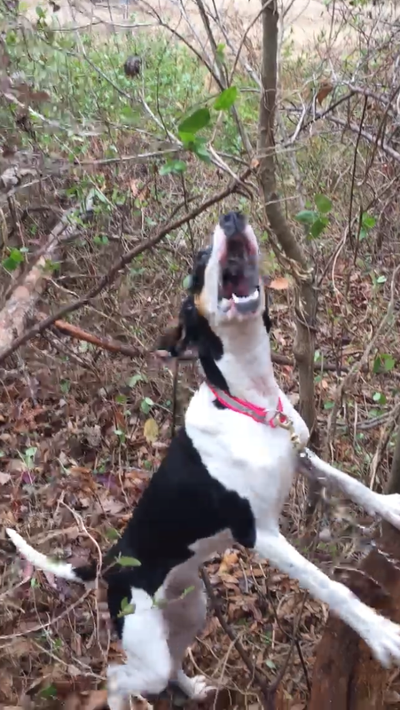 41BAECA5-1B00-4FEE-9DB6-9E5AADA0ACBE