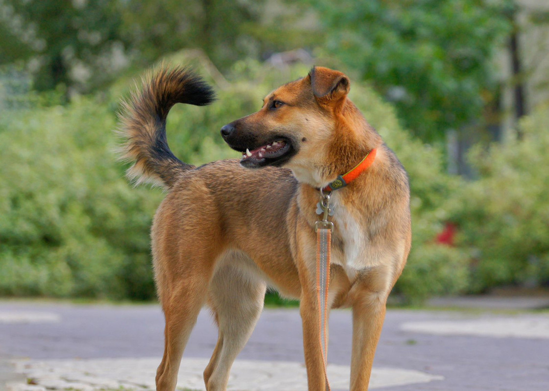 Изображение WhatsApp 2024-09-04 в 10.13.28_f37c1c71