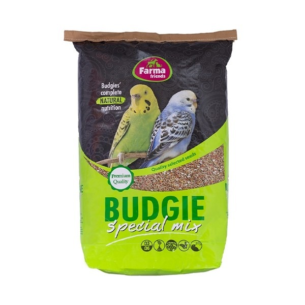 birds_budgie_0-1