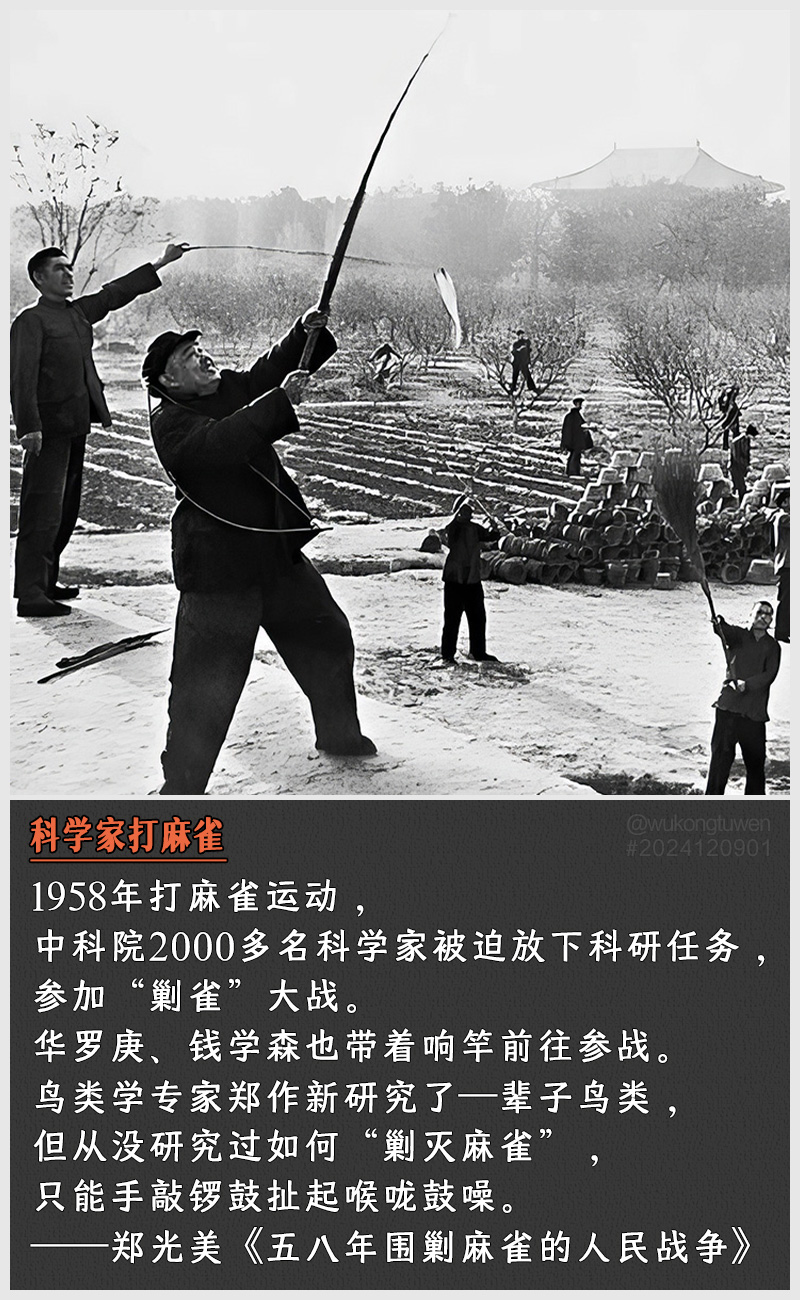 https://i.postimg.cc/kMDmby35/2024120901.jpg