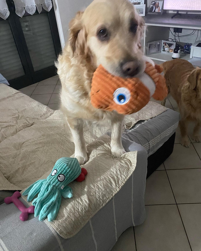 A429FD61-2539-41FC-8BB0-55E9FDBF44BE