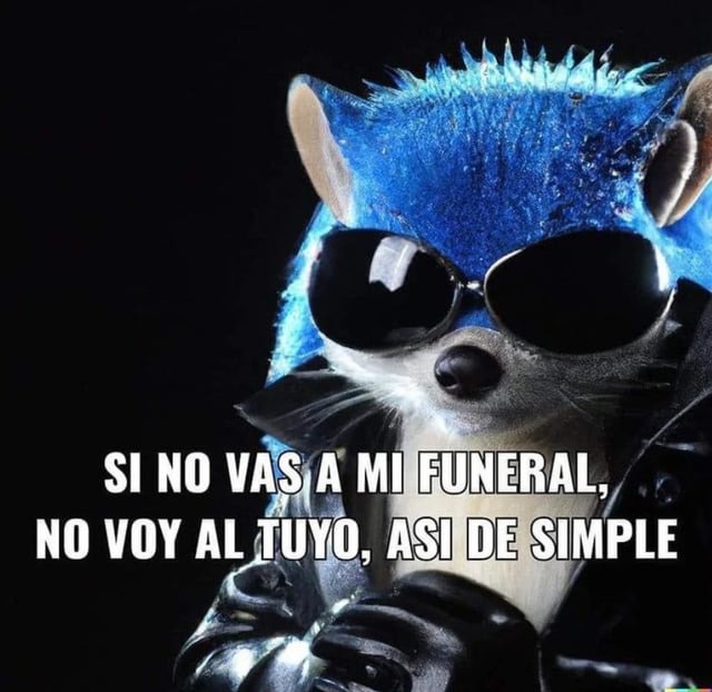 Audífonos acuáticos