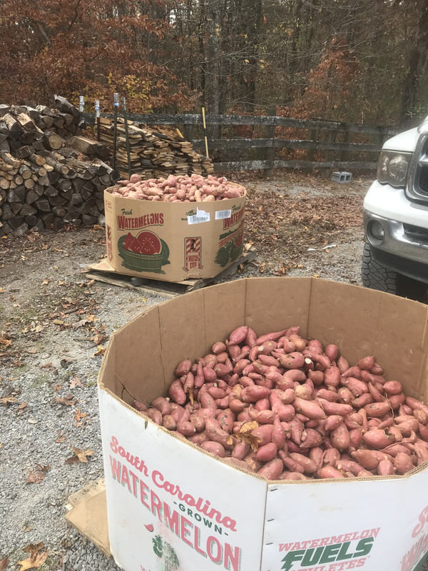 173E2BE4-13F8-4883-99CF-9F34B571C105