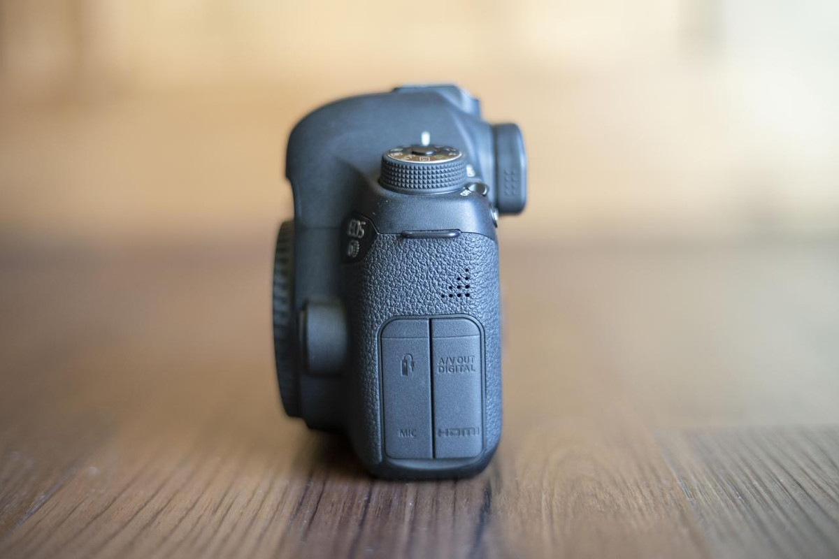 IMAGE: https://i.postimg.cc/kMFBFYn6/DSC01097.jpg