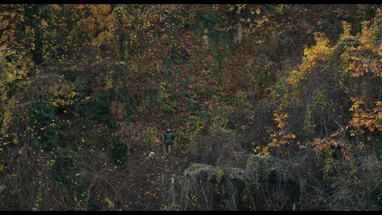 vlcsnap-2023-02-26-14h48m40s489