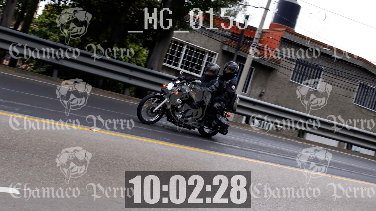 MUESTRA MG 0156 — Postimages