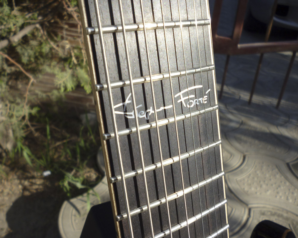 LAG fingerboard