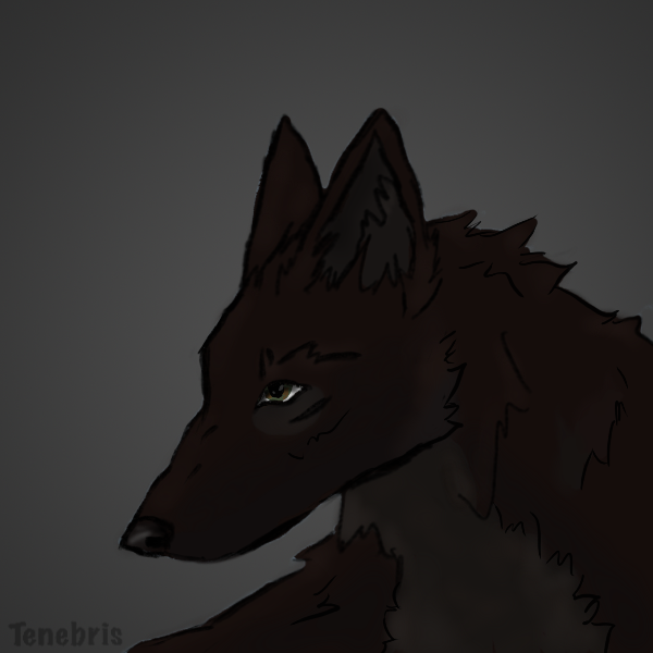 Untitled-53.png