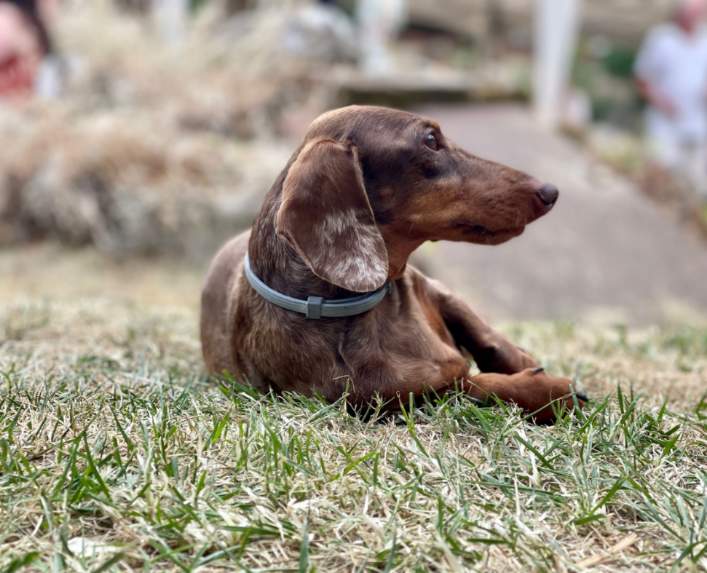 [Image: Resized-IMG-20230618-WA0091.jpg]