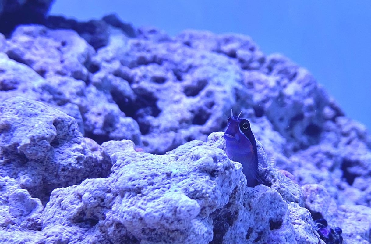 0EB2D5DC-144D-4A3F-8699-2F0EAEB3785D