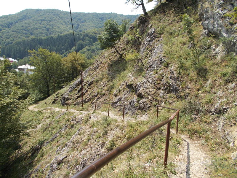 [Obrazek: DSCN0433.jpg]