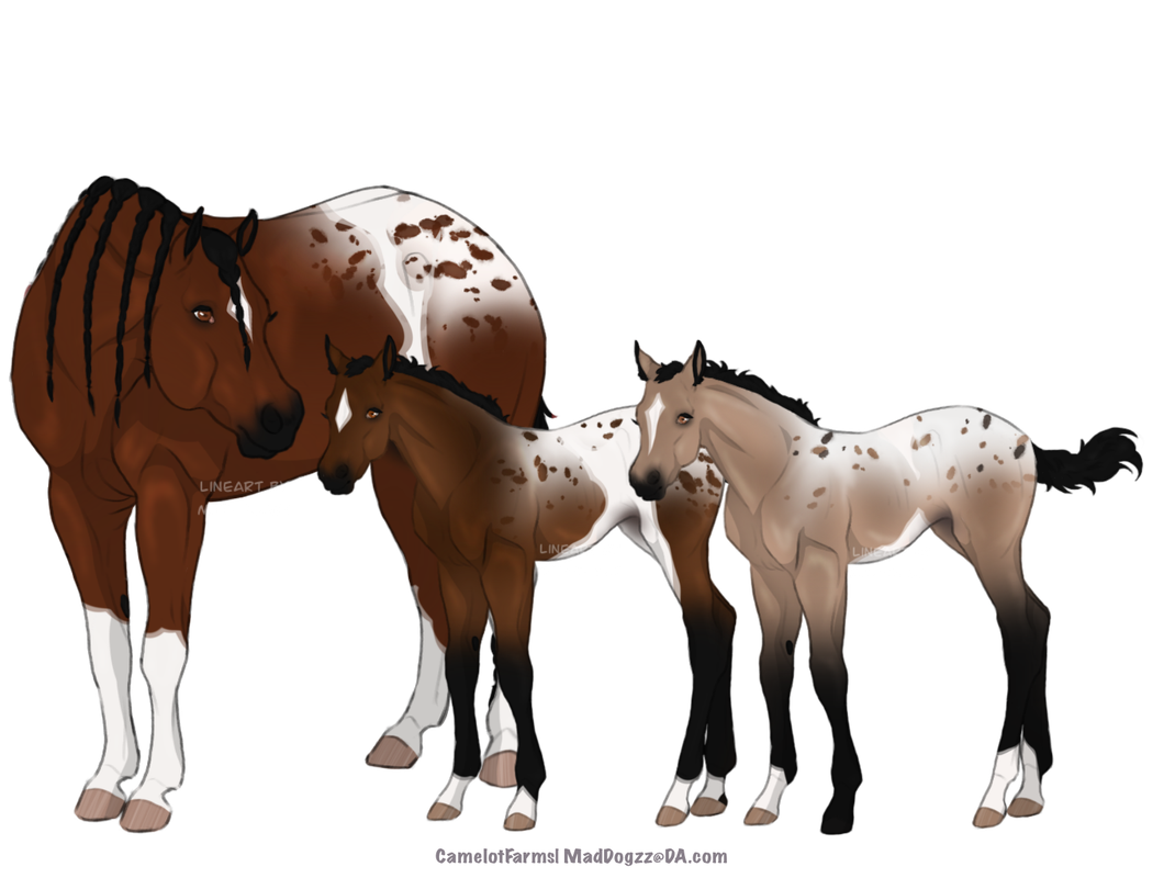 610AEC52-1E7E-4DFE-B77E-159CA04DBFEA