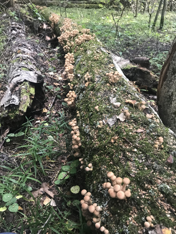 6D346FCB-FF2A-42F7-A7B4-1303CC5944DF