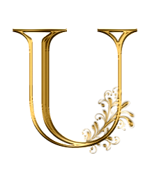 the touch of red, black and gold (105)