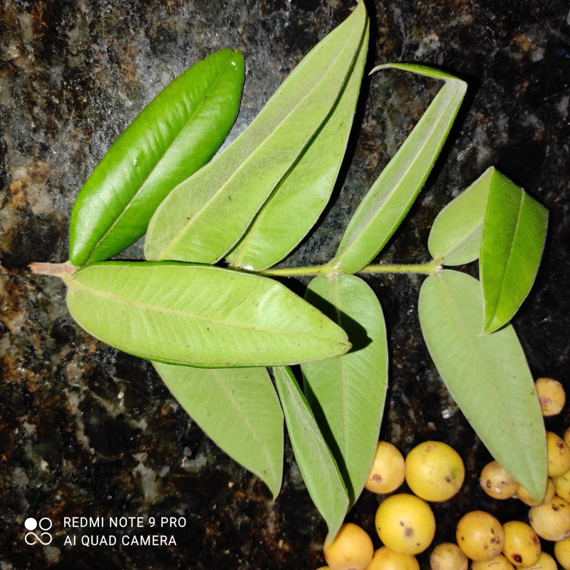 WhatsApp Image 2020-12-20 at 13.41.20 (5)